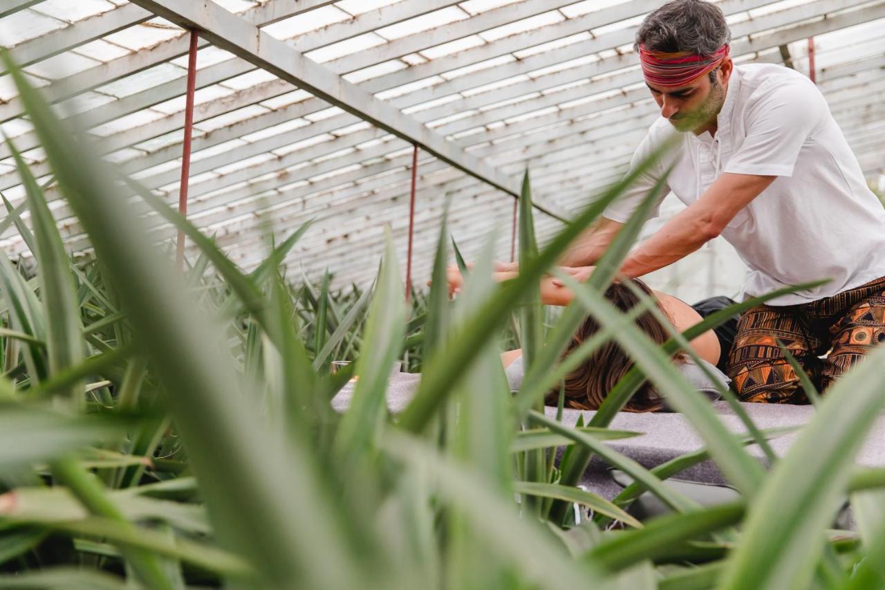 Bauernhof Herdade Do Ananas *
