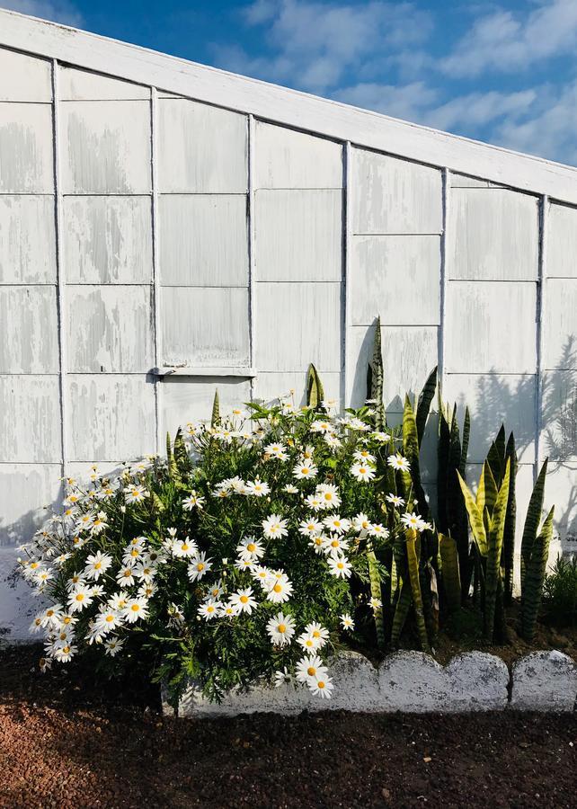 Farm stay Herdade Do Ananas